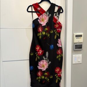 Ted Baker Red and Pink Asymmetrical One Shoulder Dress worn once